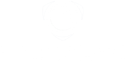 Sterling National logo